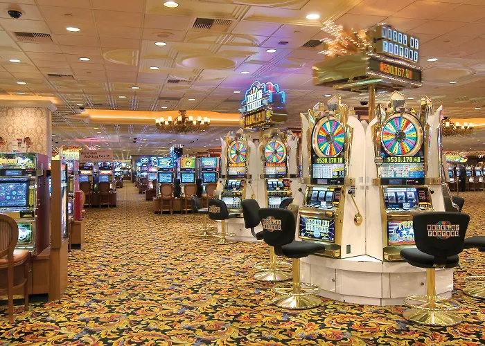 Gold Coast And Casino